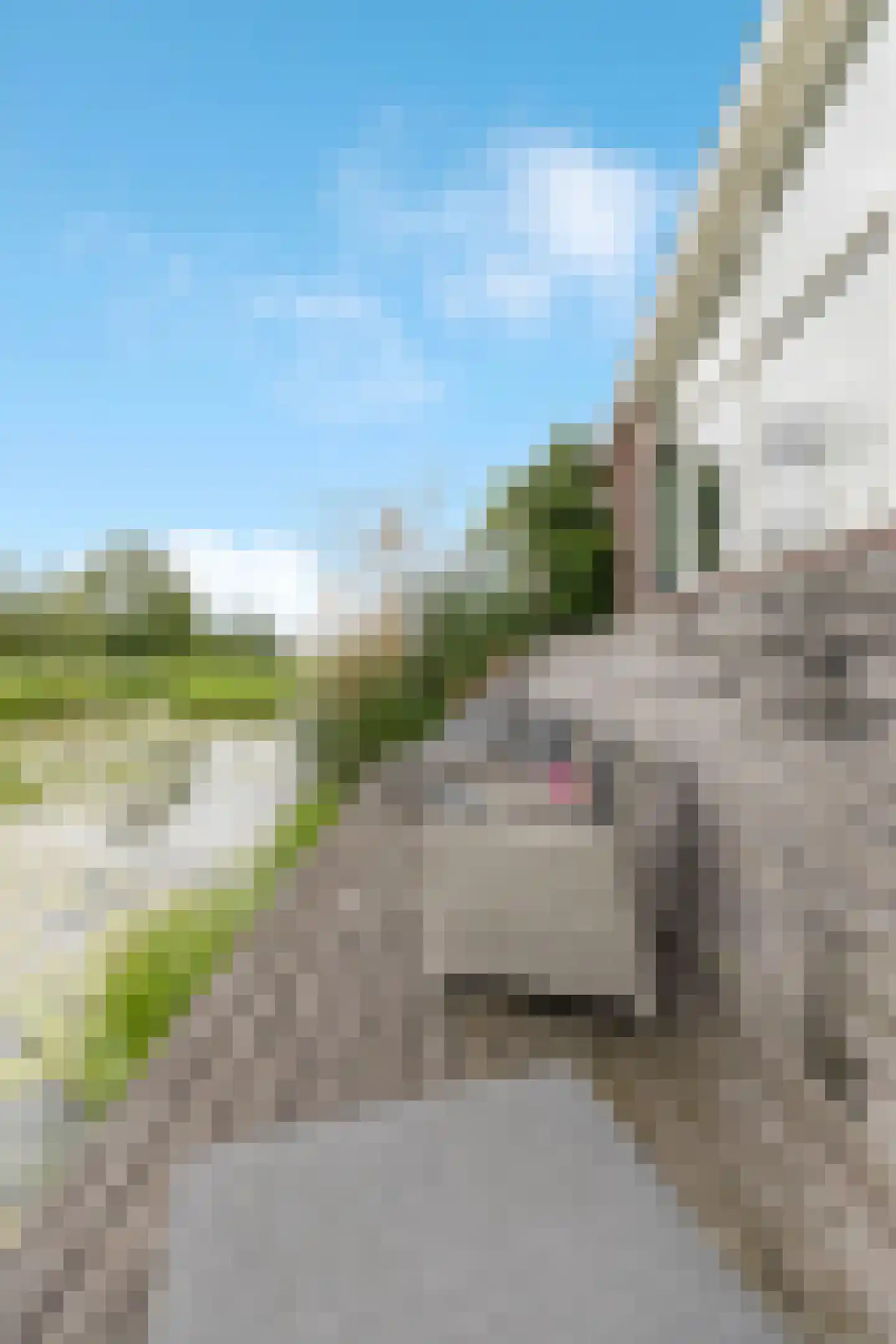 Wildenborchlaan 10 Spijkenisse thumbnail 58