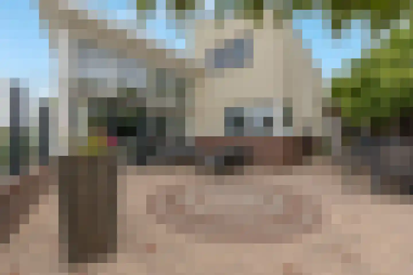 Wildenborchlaan 10 Spijkenisse thumbnail 59