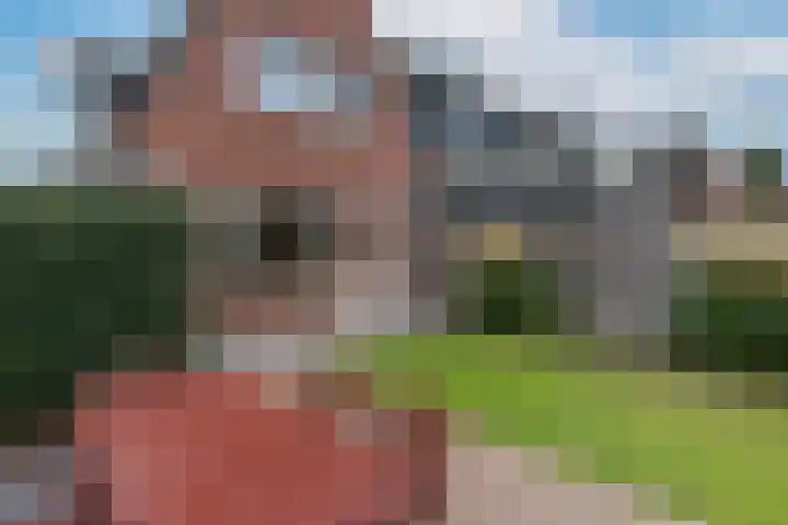 Wildenborchlaan 15 Helmond thumbnail 35