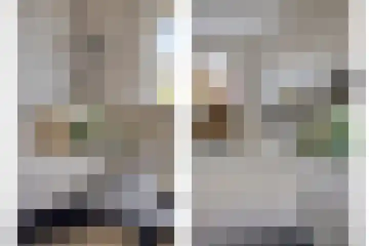 Wildenborchlaan 25 Helmond thumbnail 17