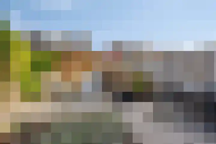 Wildenborchlaan 25 Helmond thumbnail 37