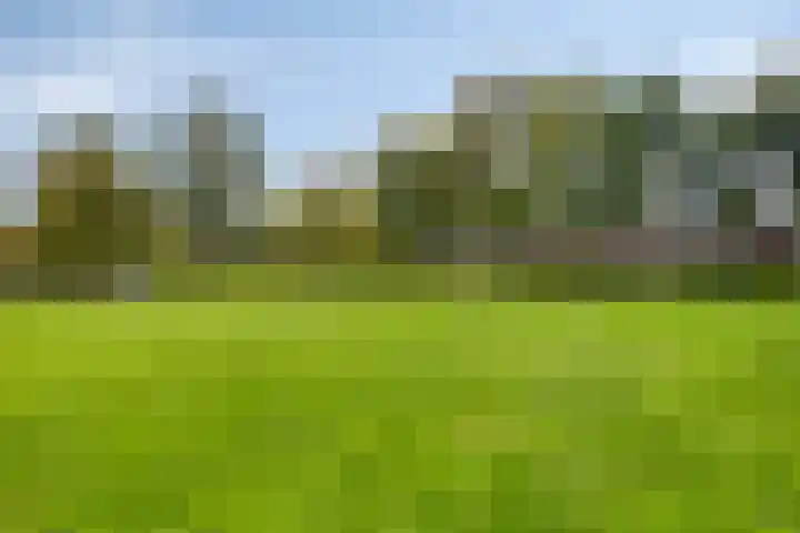 Wildenborchlaan 25 Helmond thumbnail 39