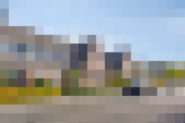Wildenborchlaan 25 Helmond thumbnail 9