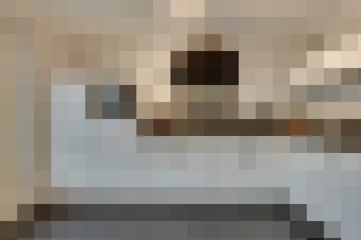 Wildenborchlaan 38 Helmond thumbnail 11