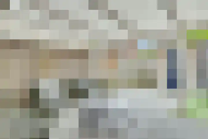 Wildenborchlaan 38 Helmond thumbnail 30