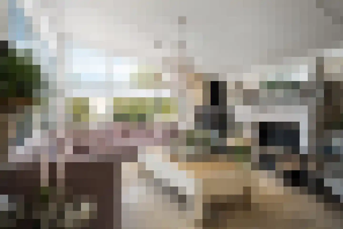 Wildenborchlaan 4 Spijkenisse thumbnail 10