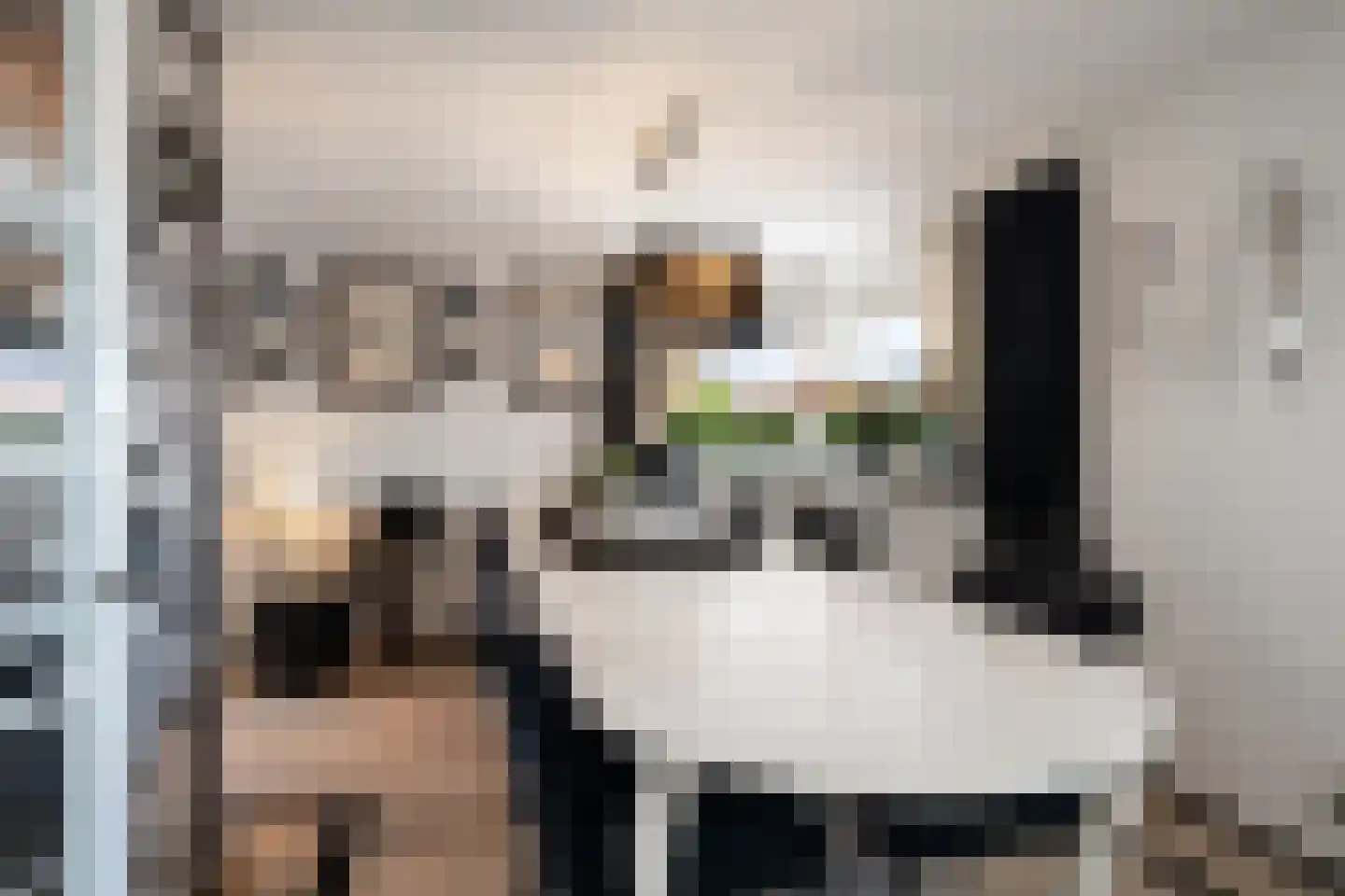 Wildenborchlaan 4 Spijkenisse thumbnail 11