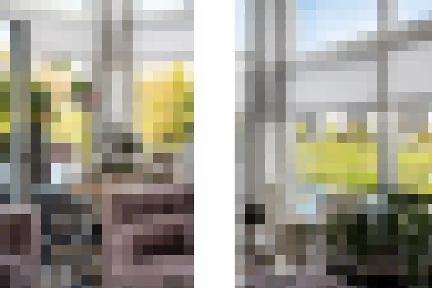 Wildenborchlaan 4 Spijkenisse thumbnail 12