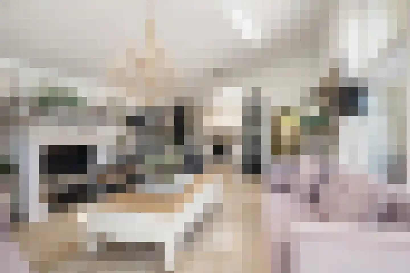 Wildenborchlaan 4 Spijkenisse thumbnail 14