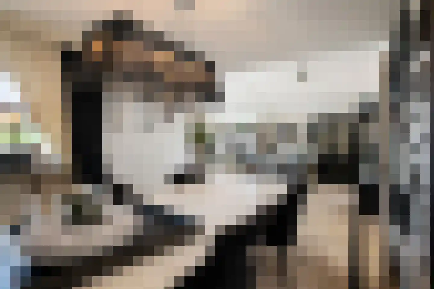Wildenborchlaan 4 Spijkenisse thumbnail 17