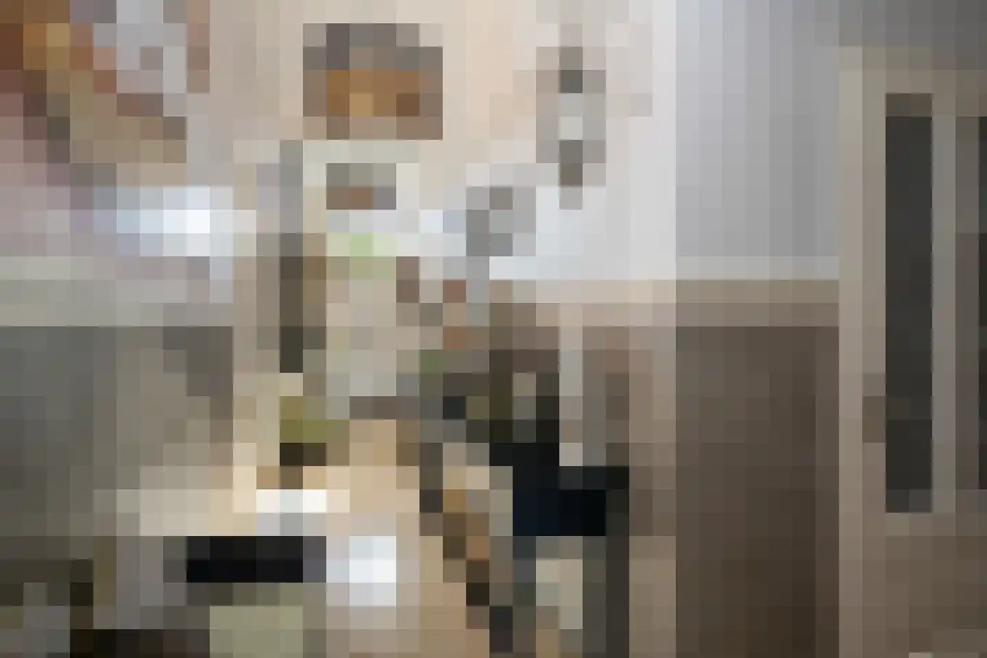 Wildenborchlaan 4 Spijkenisse thumbnail 18