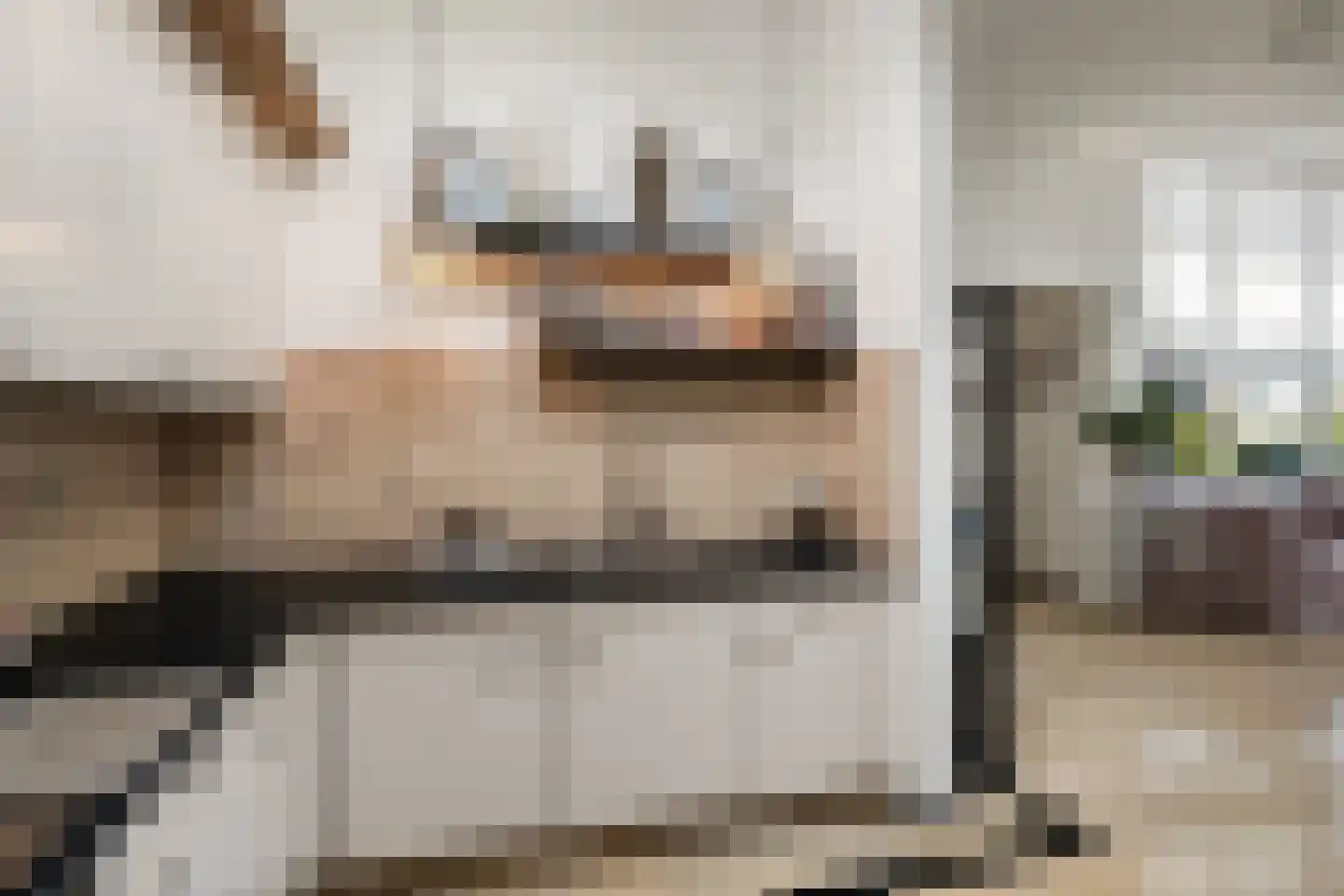 Wildenborchlaan 4 Spijkenisse thumbnail 20
