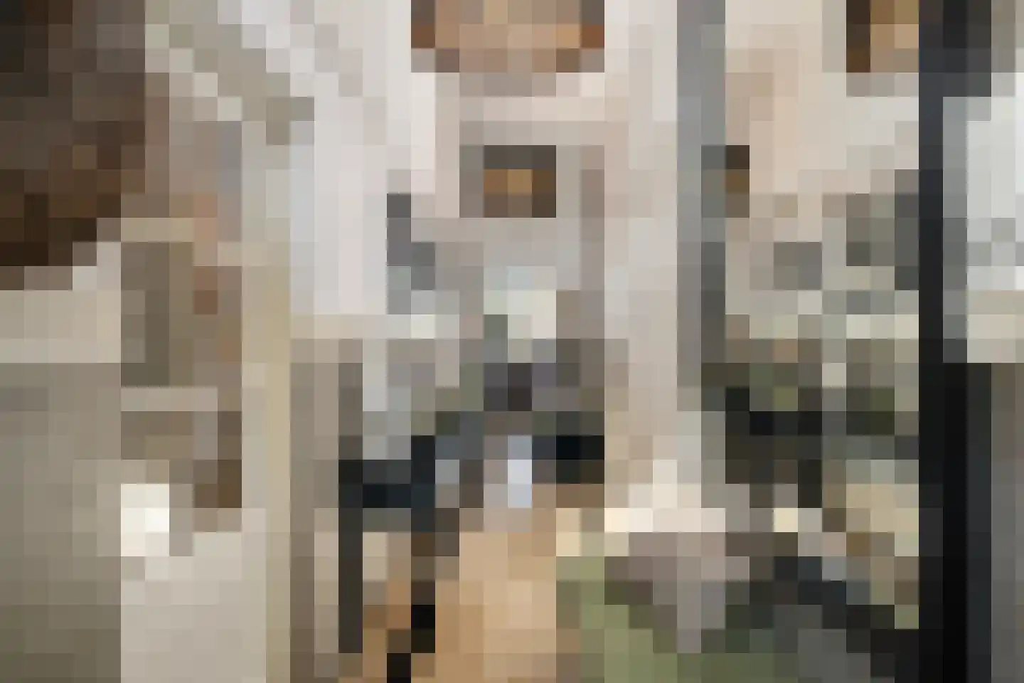 Wildenborchlaan 4 Spijkenisse thumbnail 23