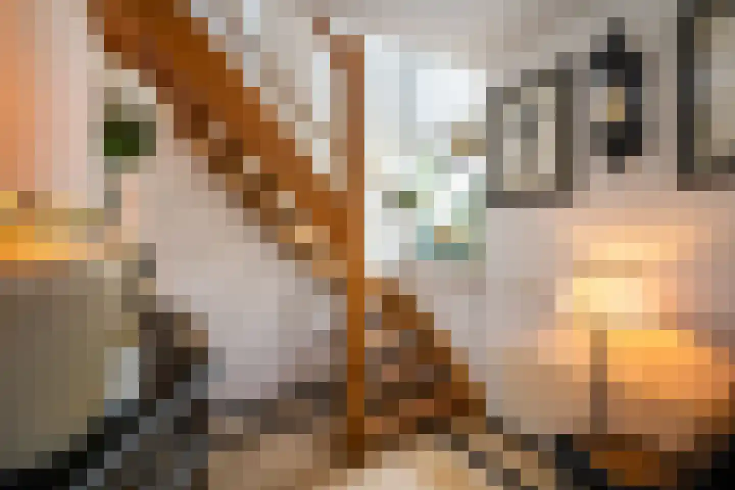 Wildenborchlaan 4 Spijkenisse thumbnail 26