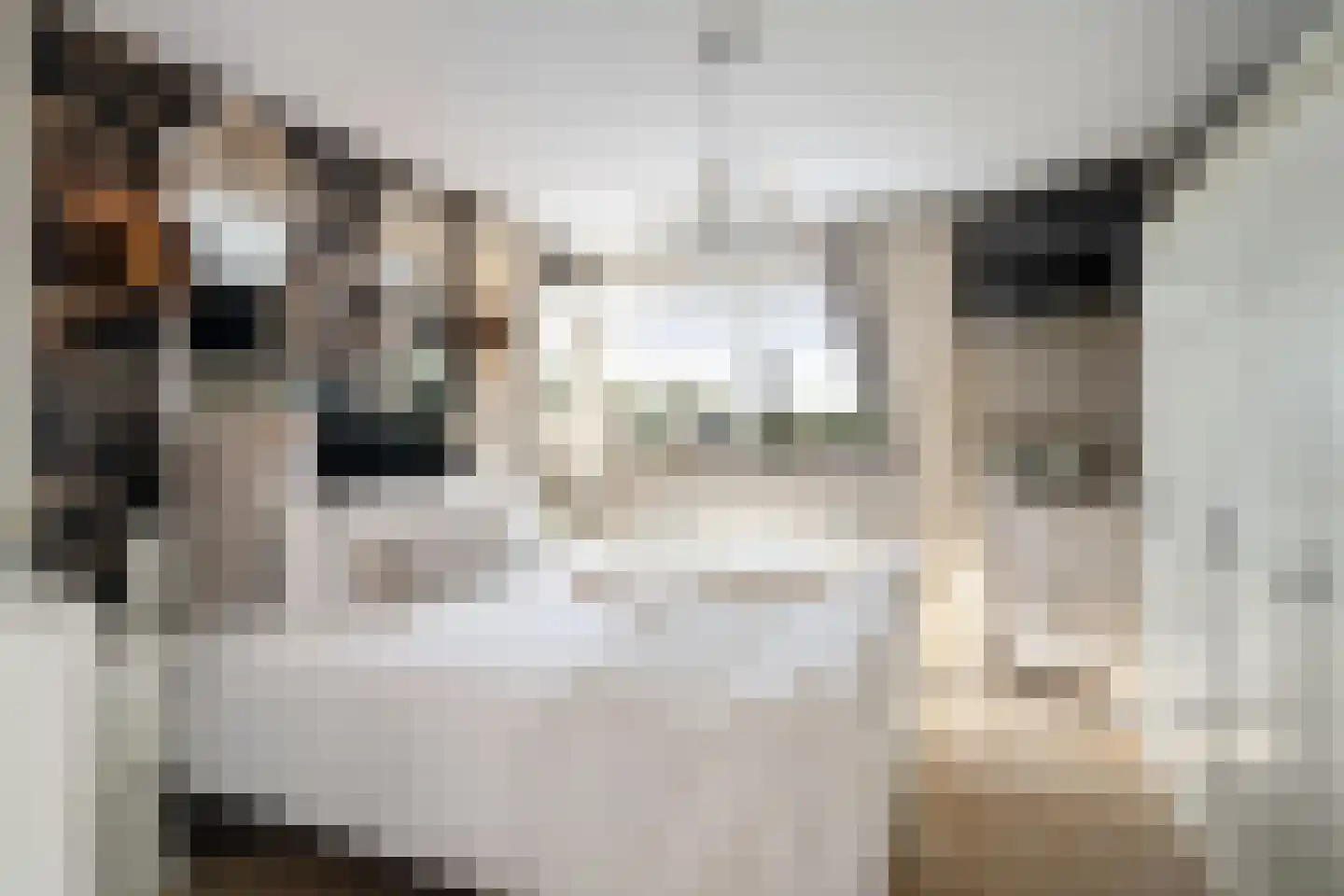 Wildenborchlaan 4 Spijkenisse thumbnail 28