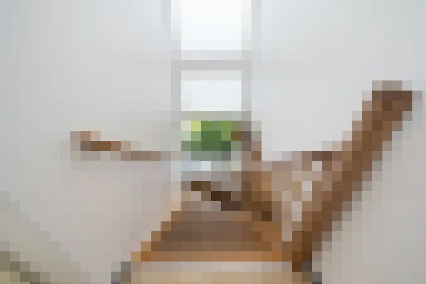 Wildenborchlaan 4 Spijkenisse thumbnail 30