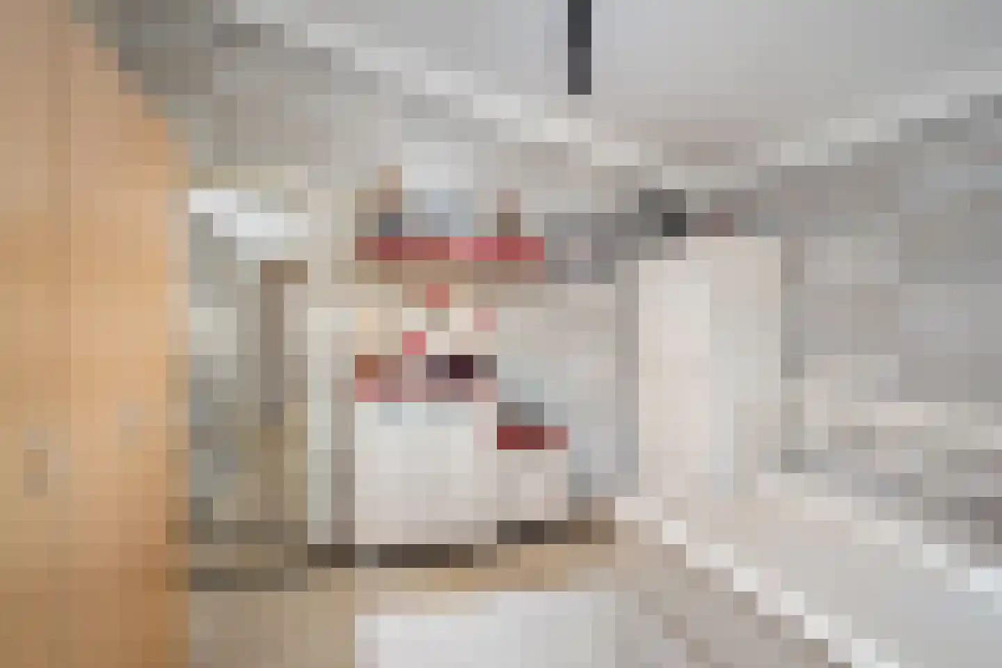 Wildenborchlaan 4 Spijkenisse thumbnail 32