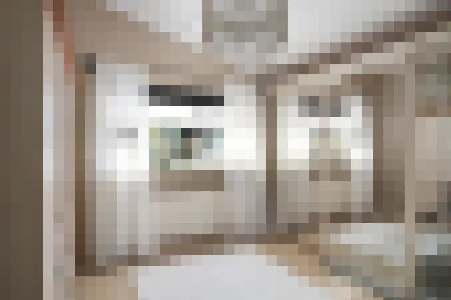 Wildenborchlaan 4 Spijkenisse thumbnail 33