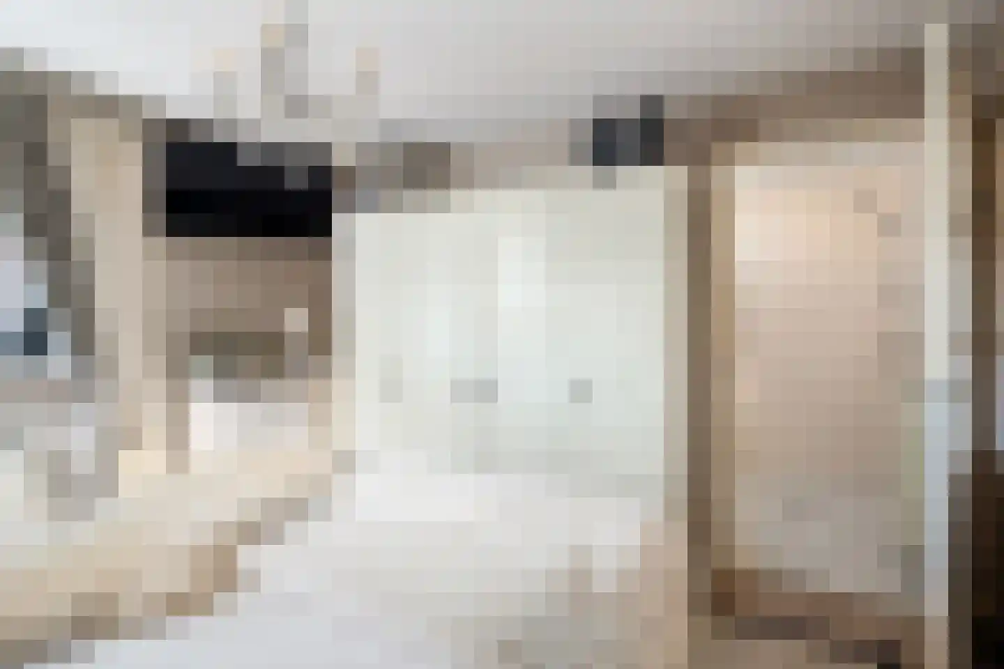 Wildenborchlaan 4 Spijkenisse thumbnail 34