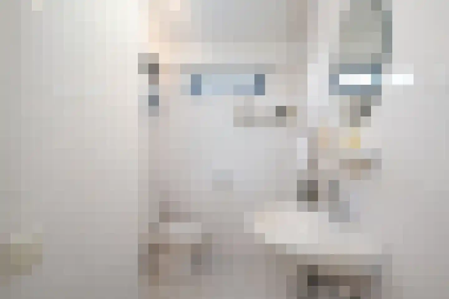 Wildenborchlaan 4 Spijkenisse thumbnail 36