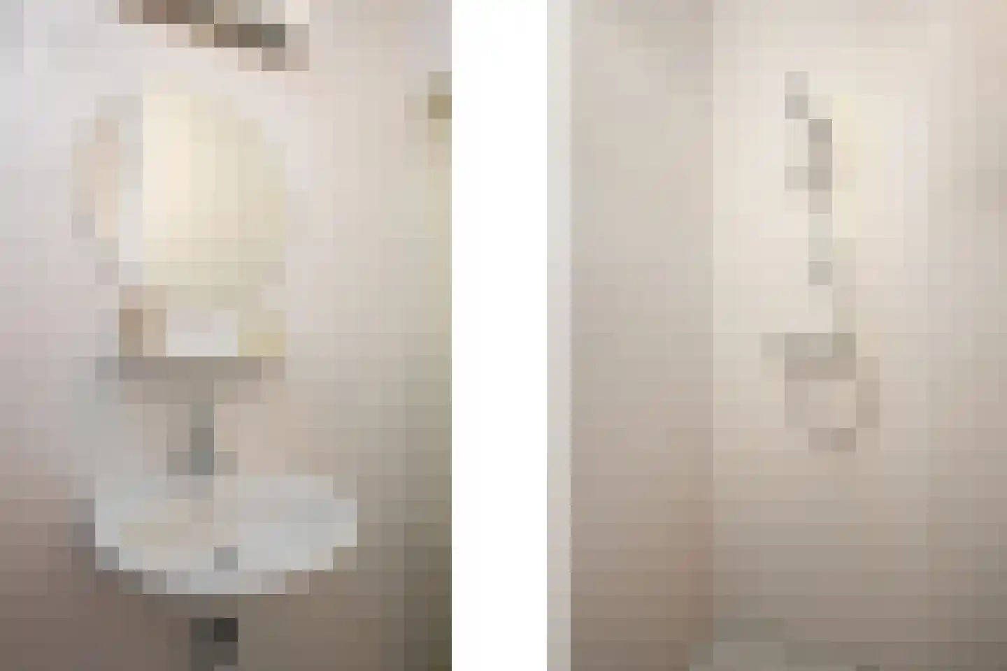 Wildenborchlaan 4 Spijkenisse thumbnail 37