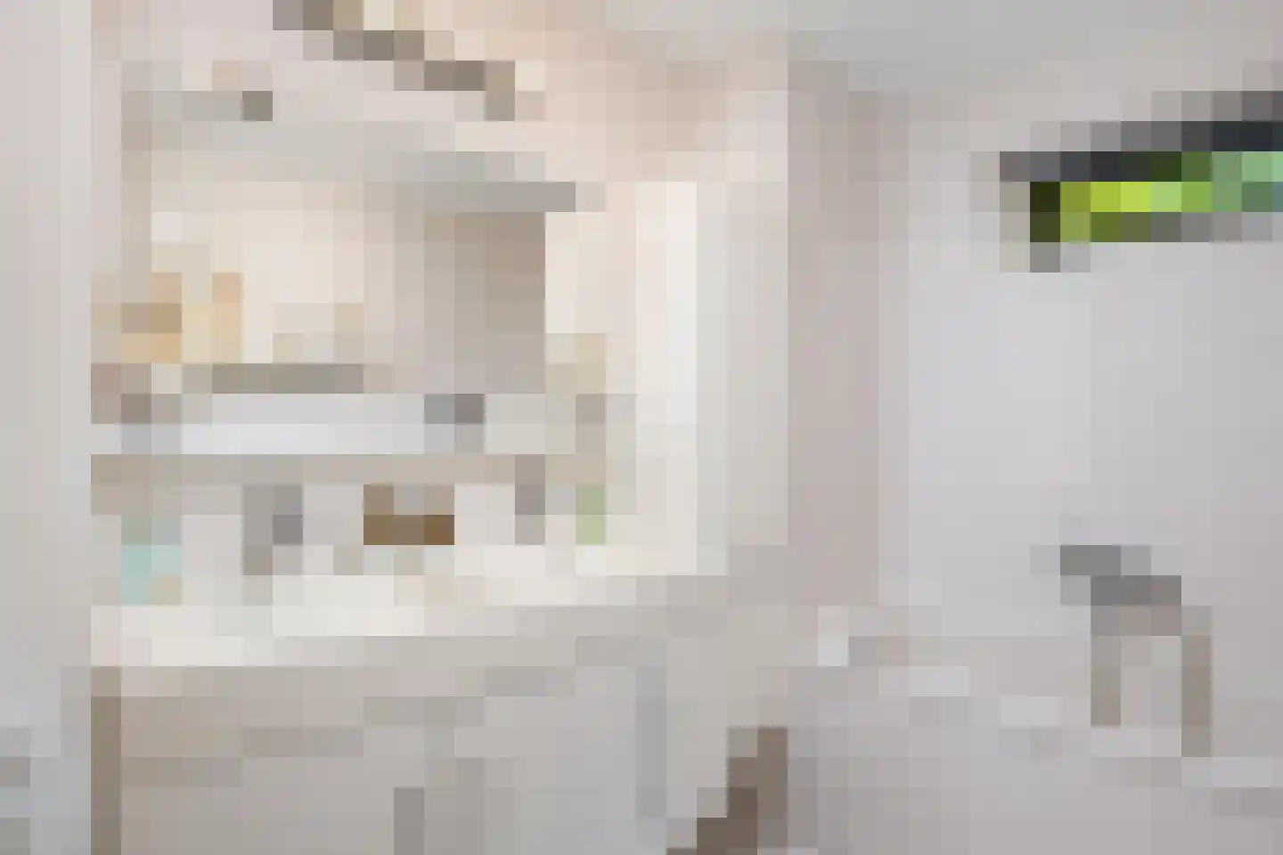 Wildenborchlaan 4 Spijkenisse thumbnail 39