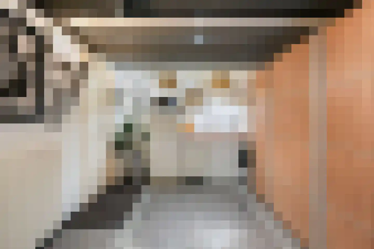 Wildenborchlaan 4 Spijkenisse thumbnail 44
