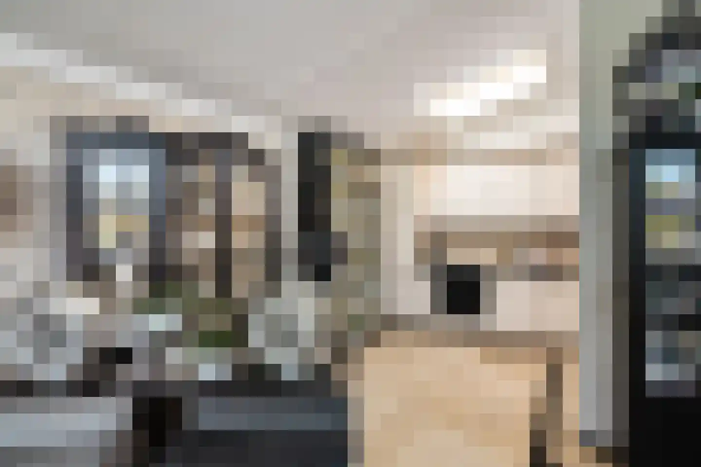 Wildenborchlaan 4 Spijkenisse thumbnail 5