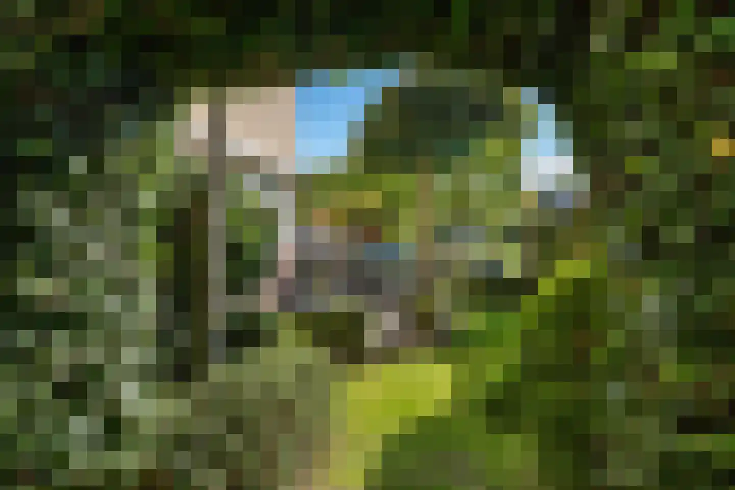 Wildenborchlaan 4 Spijkenisse thumbnail 52