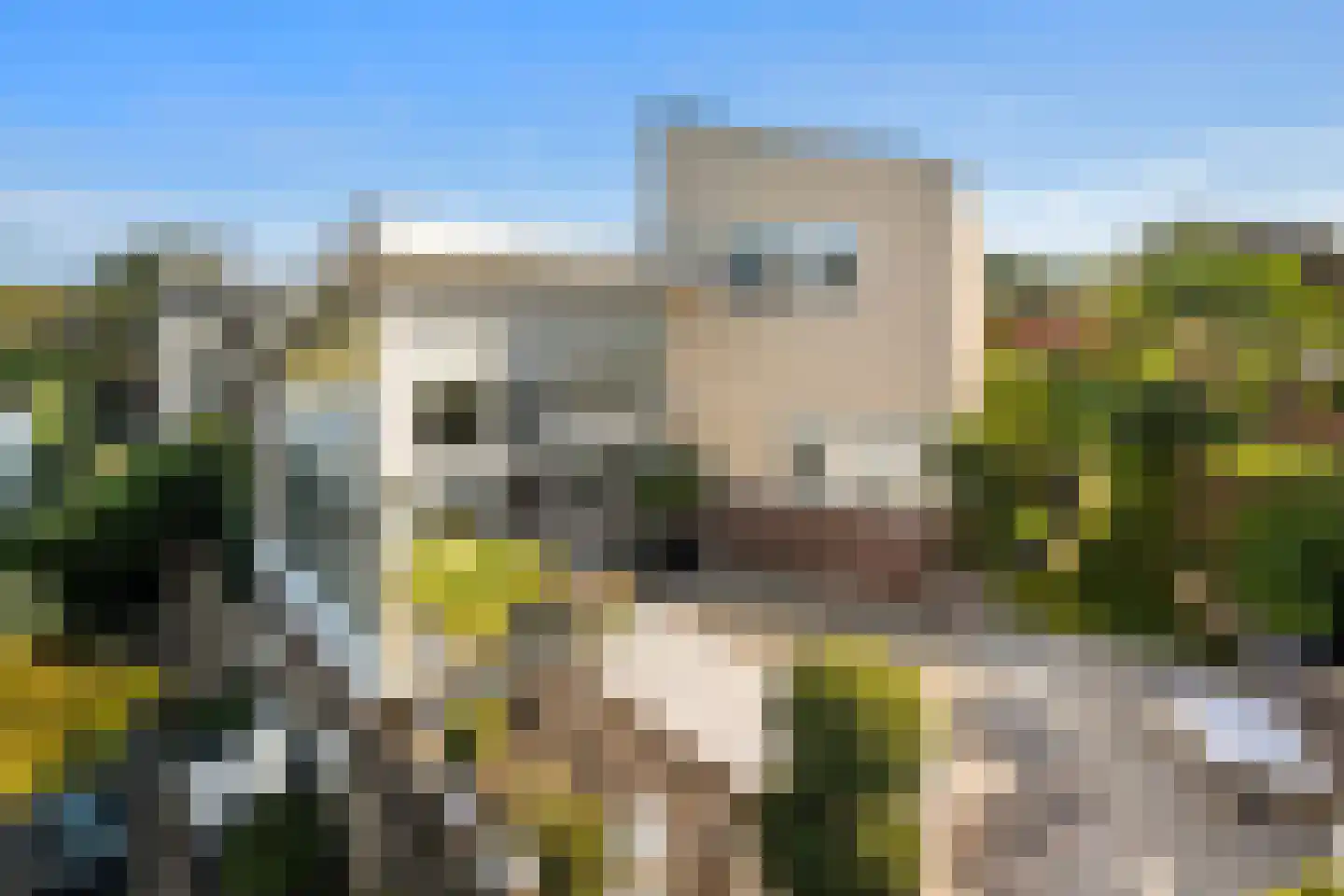 Wildenborchlaan 4 Spijkenisse thumbnail 56