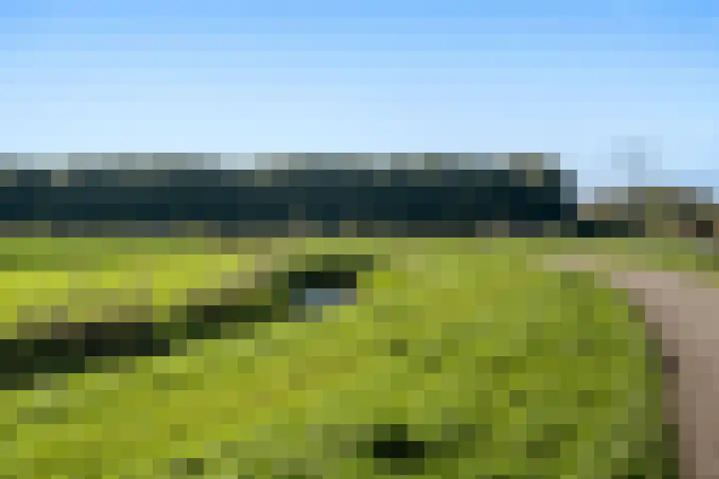 Wildenborchlaan 4 Spijkenisse thumbnail 59