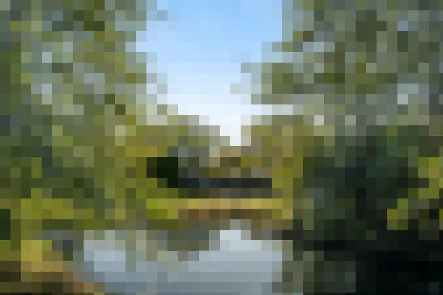Wildenborchlaan 4 Spijkenisse thumbnail 61