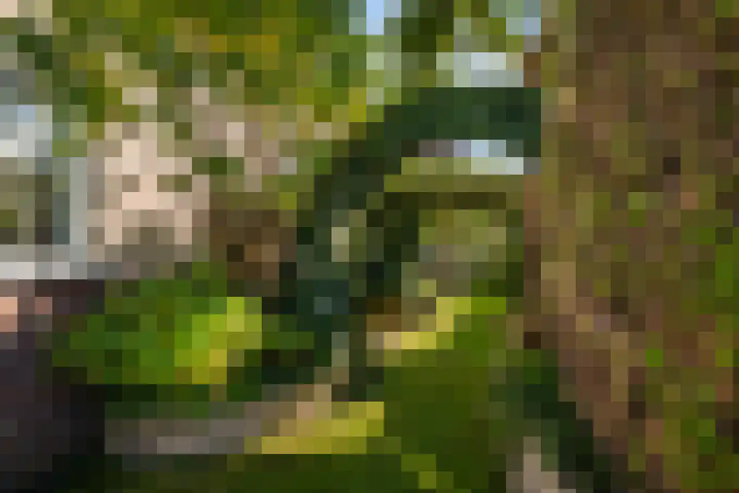 Wildenborchlaan 4 Spijkenisse thumbnail 8
