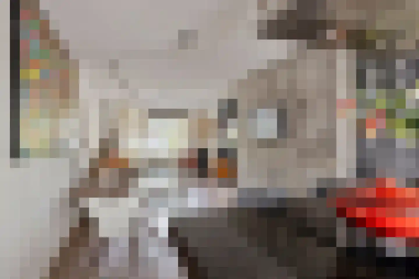 Wildenborchlaan 57 Helmond thumbnail 18