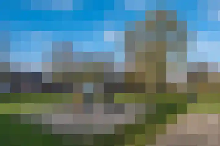 Wildenborchlaan 62 Helmond thumbnail 10