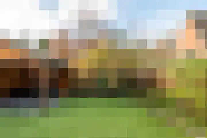Wildenborchlaan 62 Helmond thumbnail 42