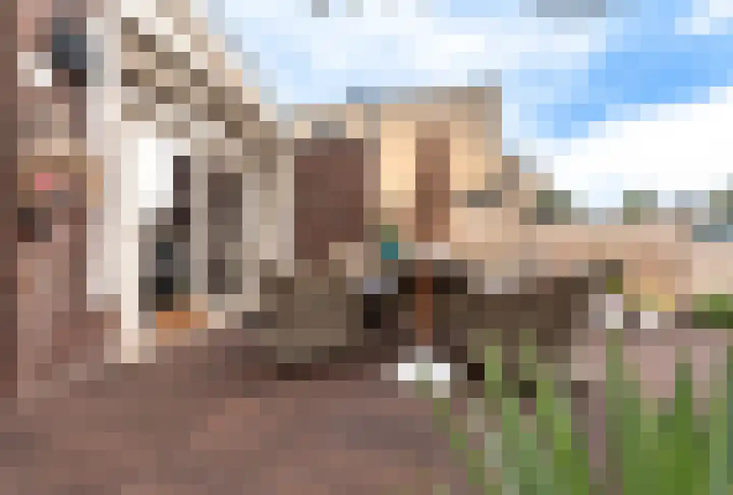 Wildenborchlaan 8 Spijkenisse thumbnail 18