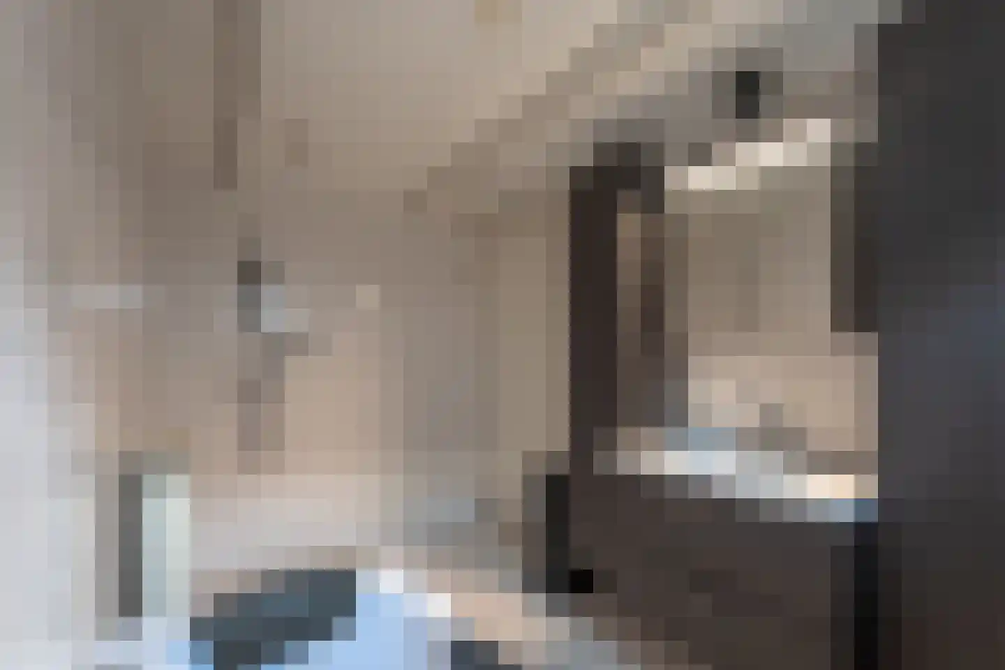 Wildenborchlaan 8 Spijkenisse thumbnail 24