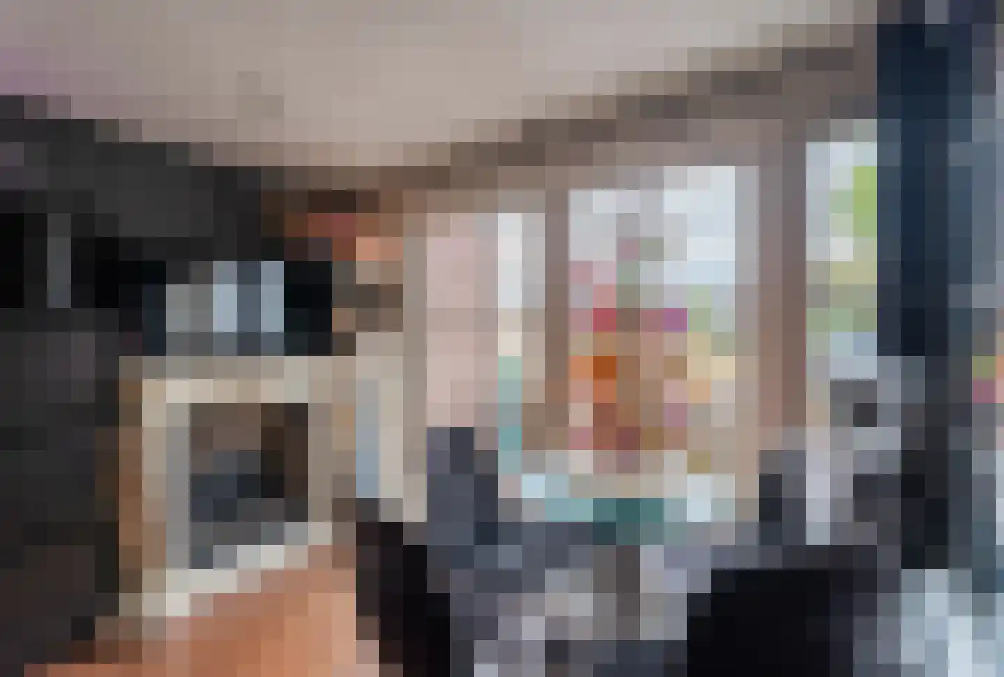 Wildenborchlaan 8 Spijkenisse thumbnail 26