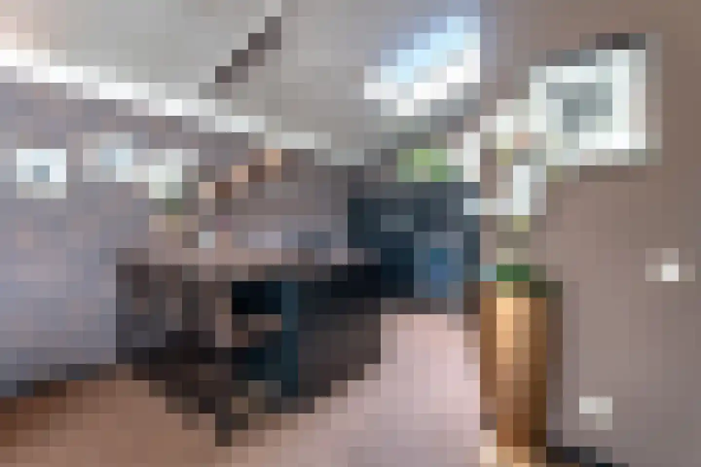 Wildenborchlaan 8 Spijkenisse thumbnail 29