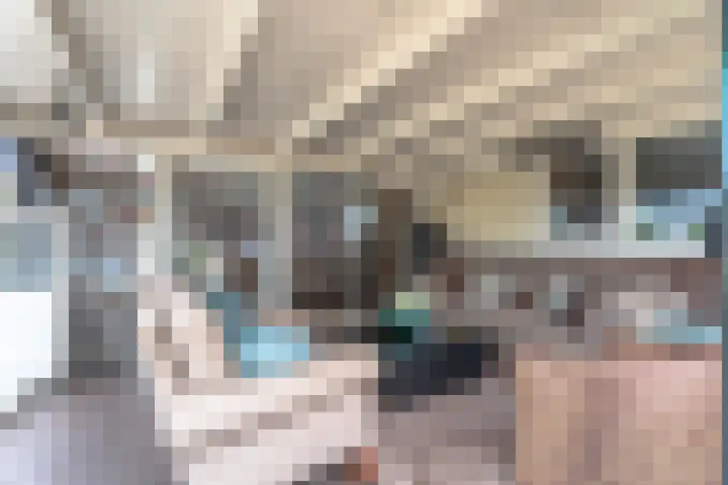 Wildenborchlaan 8 Spijkenisse thumbnail 37