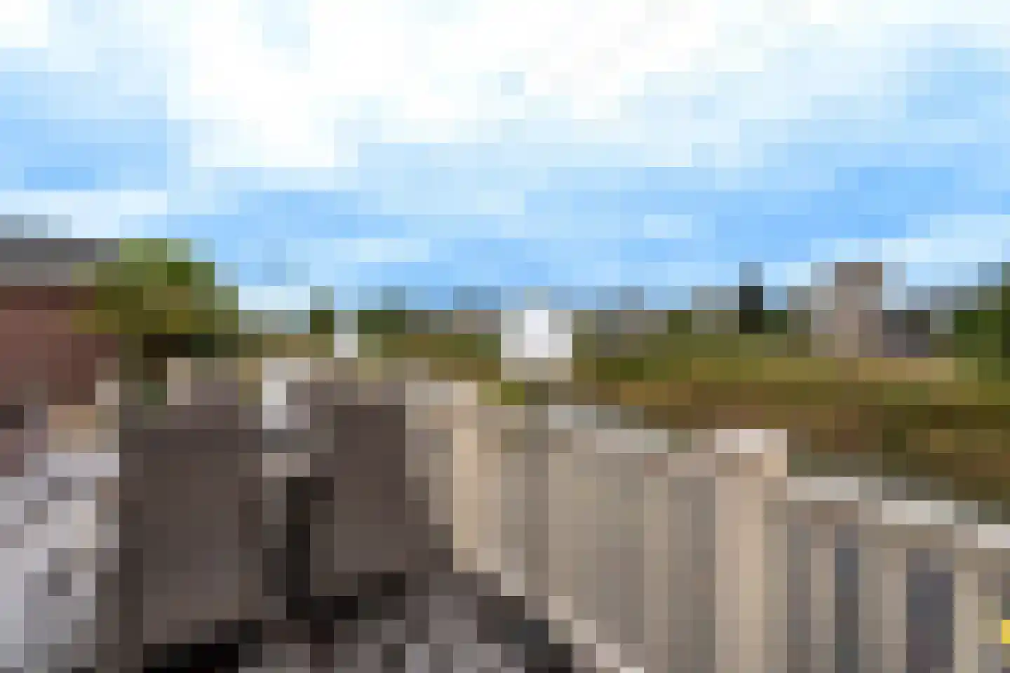 Wildenborchlaan 8 Spijkenisse thumbnail 39