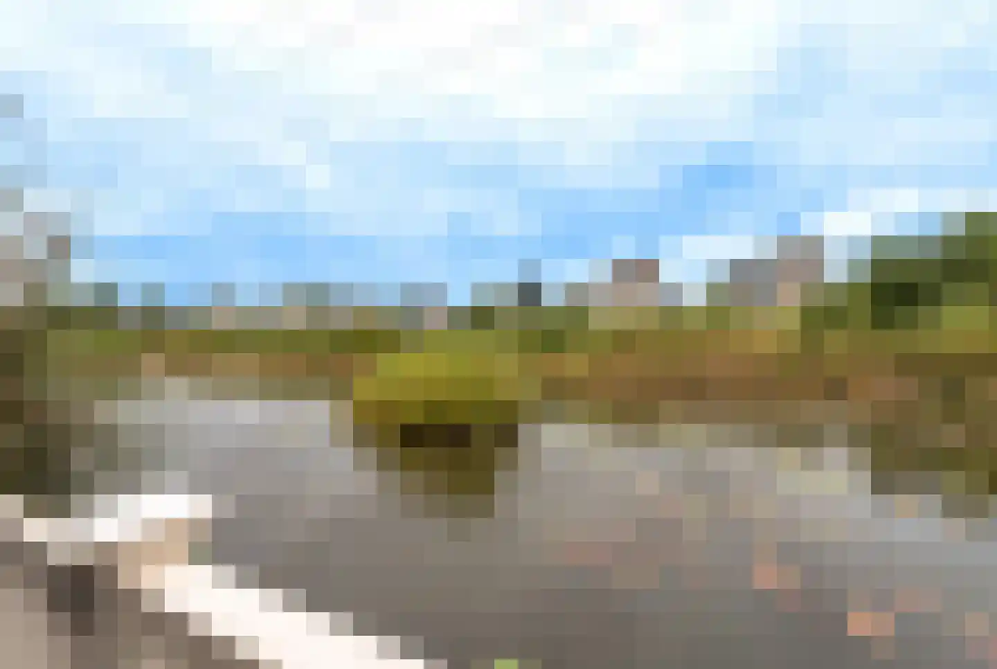 Wildenborchlaan 8 Spijkenisse thumbnail 40