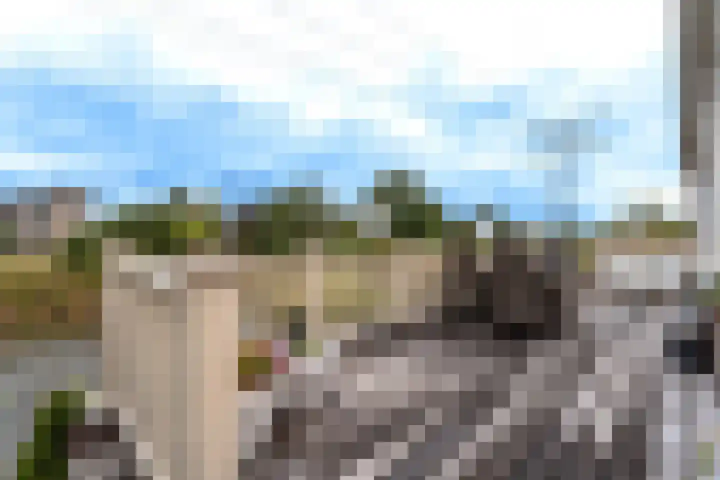 Wildenborchlaan 8 Spijkenisse thumbnail 41