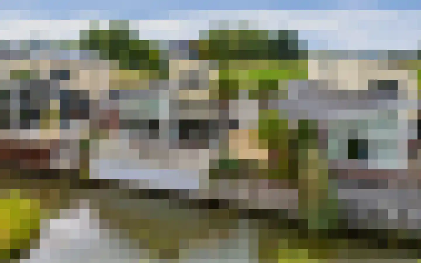 Wildenborchlaan 8 Spijkenisse thumbnail 42