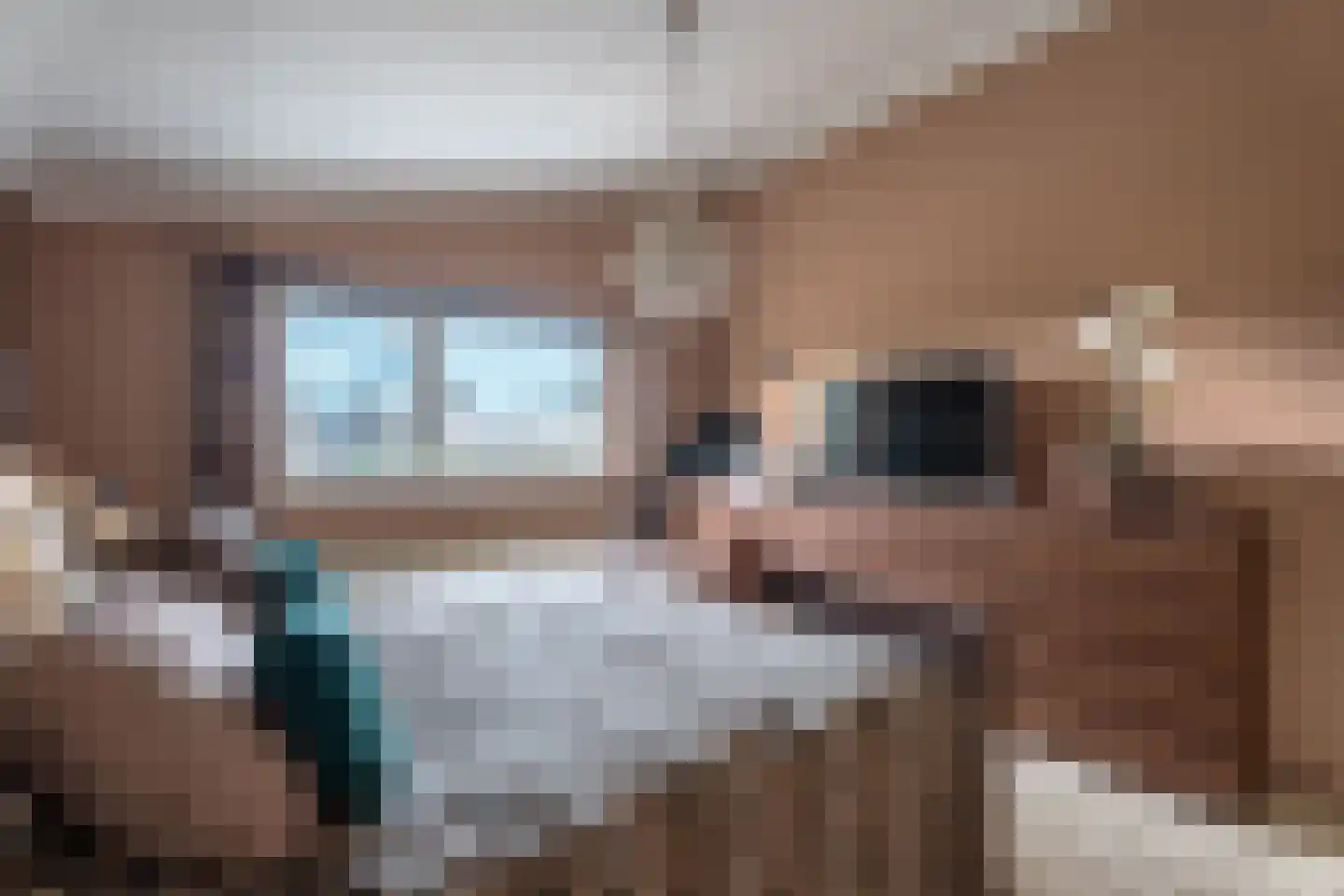 Wildenborchlaan 8 Spijkenisse thumbnail 51