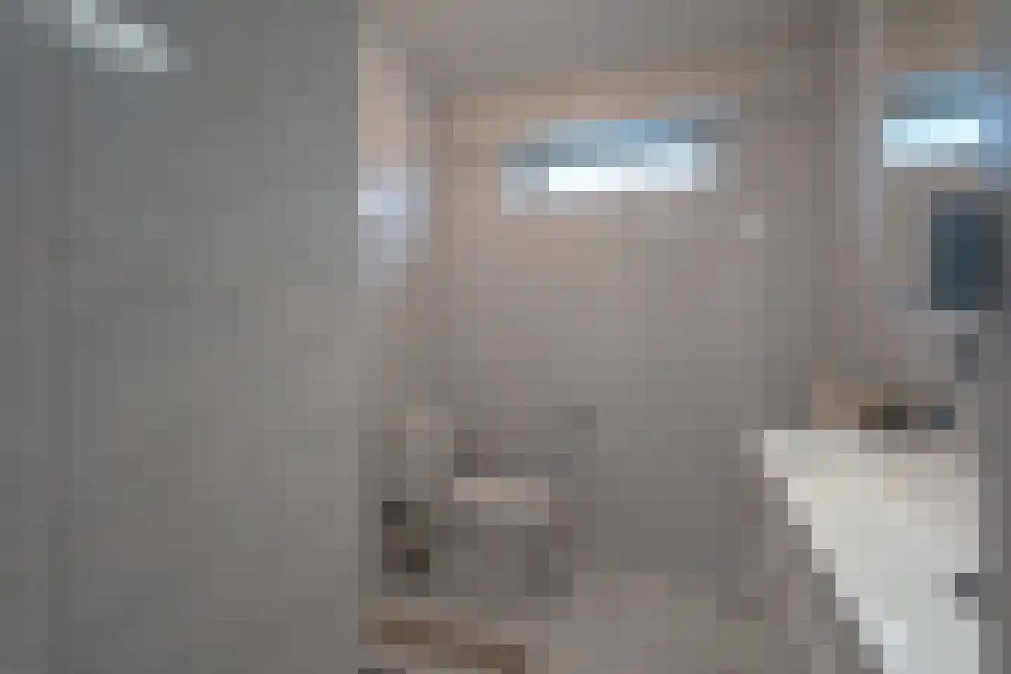 Wildenborchlaan 8 Spijkenisse thumbnail 52