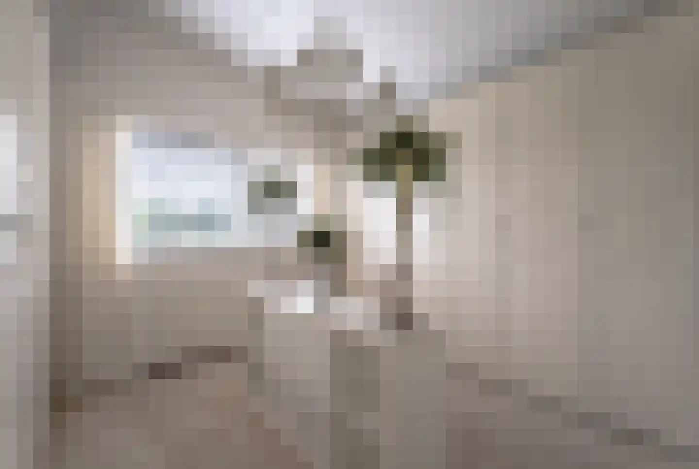 Wildenborchlaan 8 Spijkenisse thumbnail 55