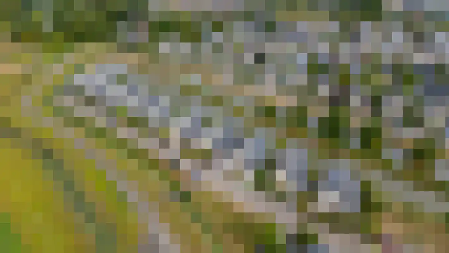 Wildenborchlaan 8 Spijkenisse thumbnail 7