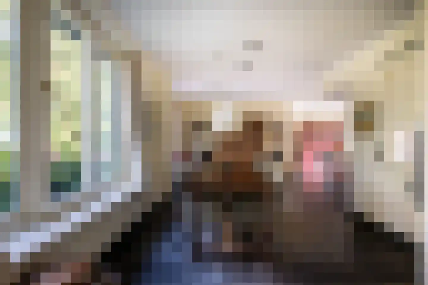 Wildenborchseweg 11 Vorden thumbnail 14